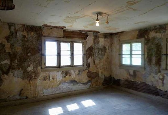 Murder Mansion Decay Walls